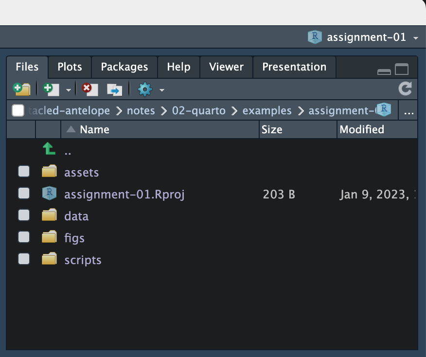 Files pane displaying the files in the project directory.
