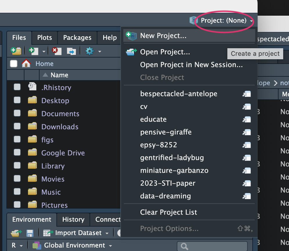 Create a new project in RStudio.